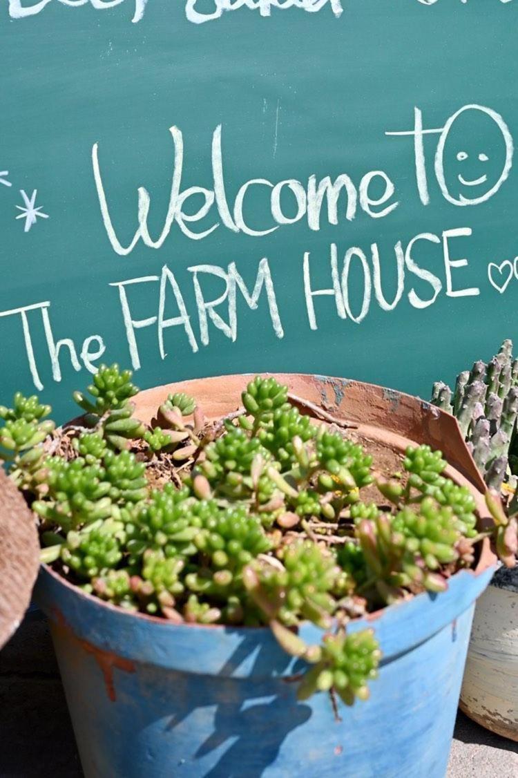 The Farmhouse Boutique Guesthouse And Beergarden Cc Outjo Exterior photo